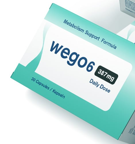 Wego6 Verpackung